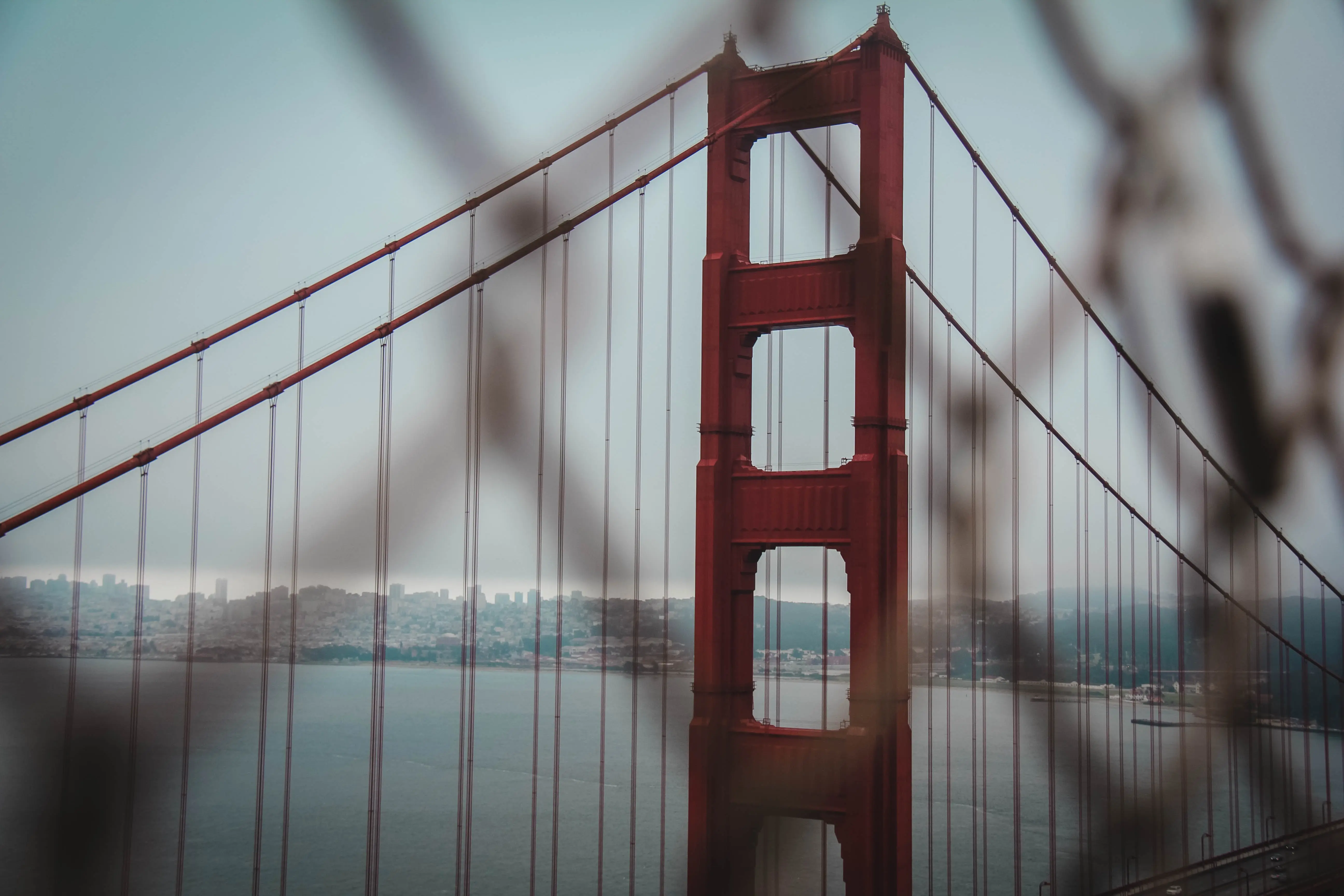 Getting Started with CheckinAPI: A Complete Guide