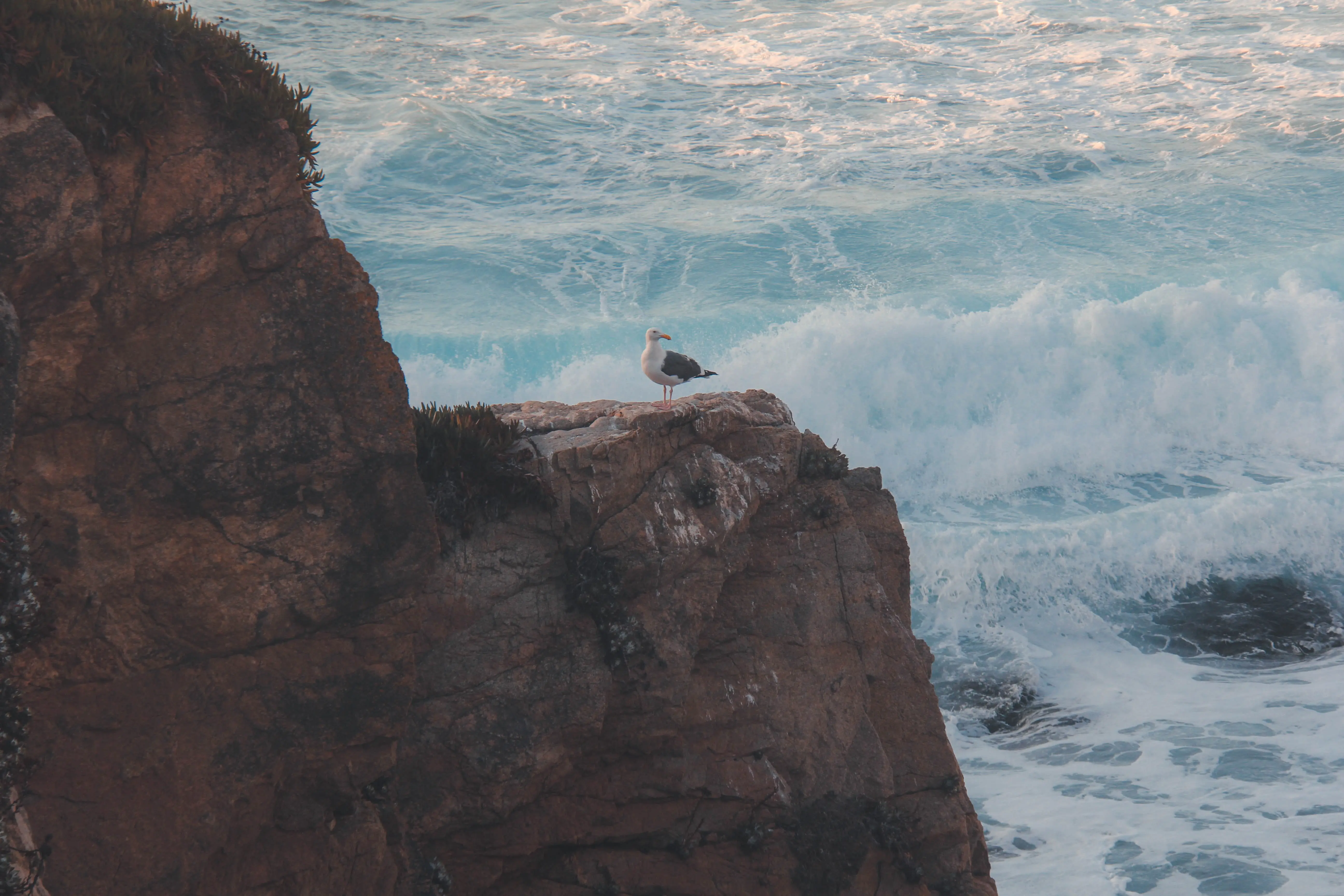 Maximizing Ancillary Revenue with Web Check-in